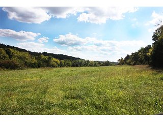 Property photo 3 - LAND AUCTION - 261+/- ACRES IN BRECKINRIDGE COUNTY